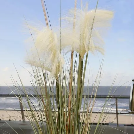 Haus Am Meer, App 73 公寓 *